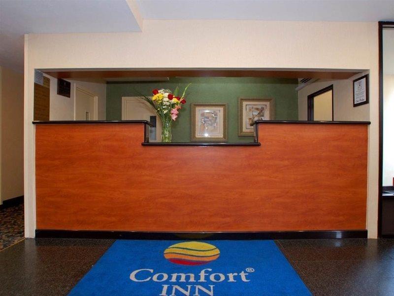 Comfort Inn Jfk Airport New York Exteriör bild